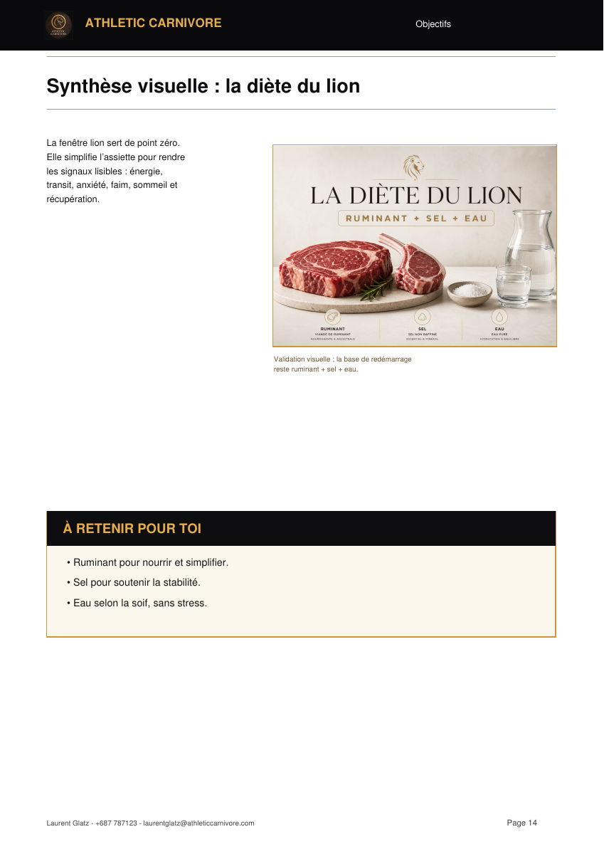 Synthèse visuelle de la diet du lion dans le premium report