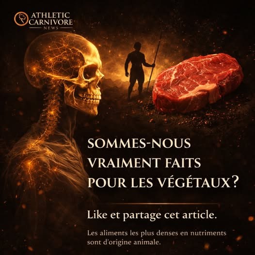 Aliments animaux et carences : le dogme végétaliste résiste-t-il à la biologie humaine ?