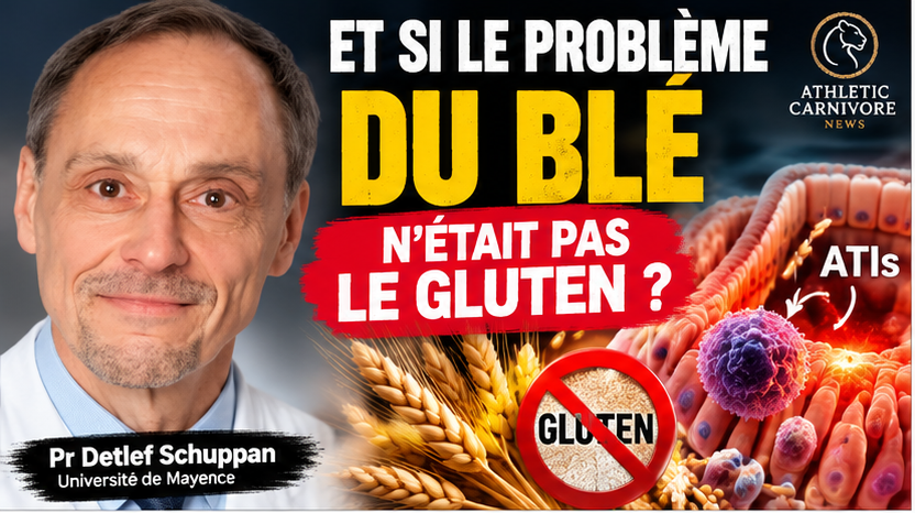 Le blé : au-delà du gluten, le rôle des protéines ATIs