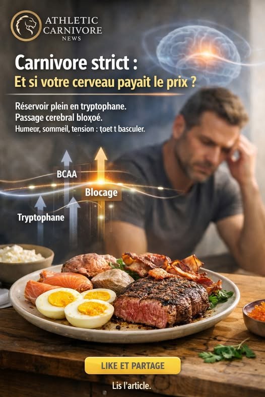Carnivore strict et sérotonine : le réservoir est plein, mais le passage cérébral peut être bloqué