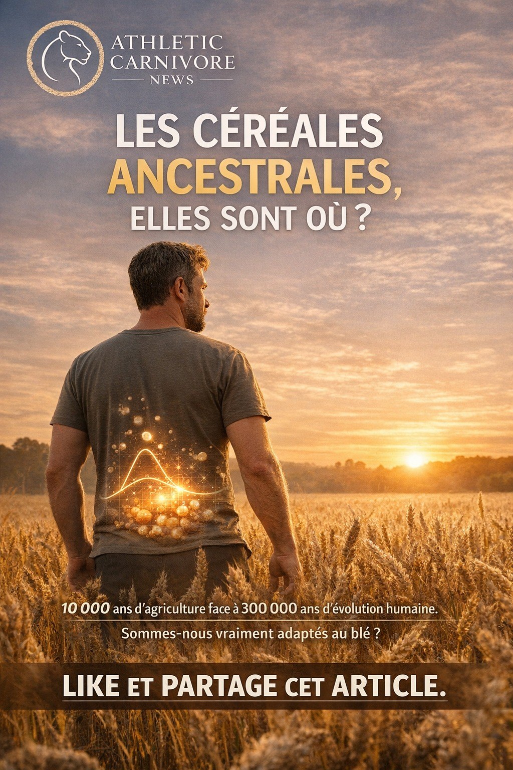 Les céréales ancestrales, elles sont où ?