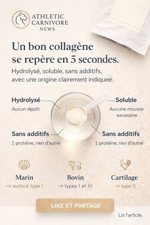 Collagène : types, qualité et terrain métabolique