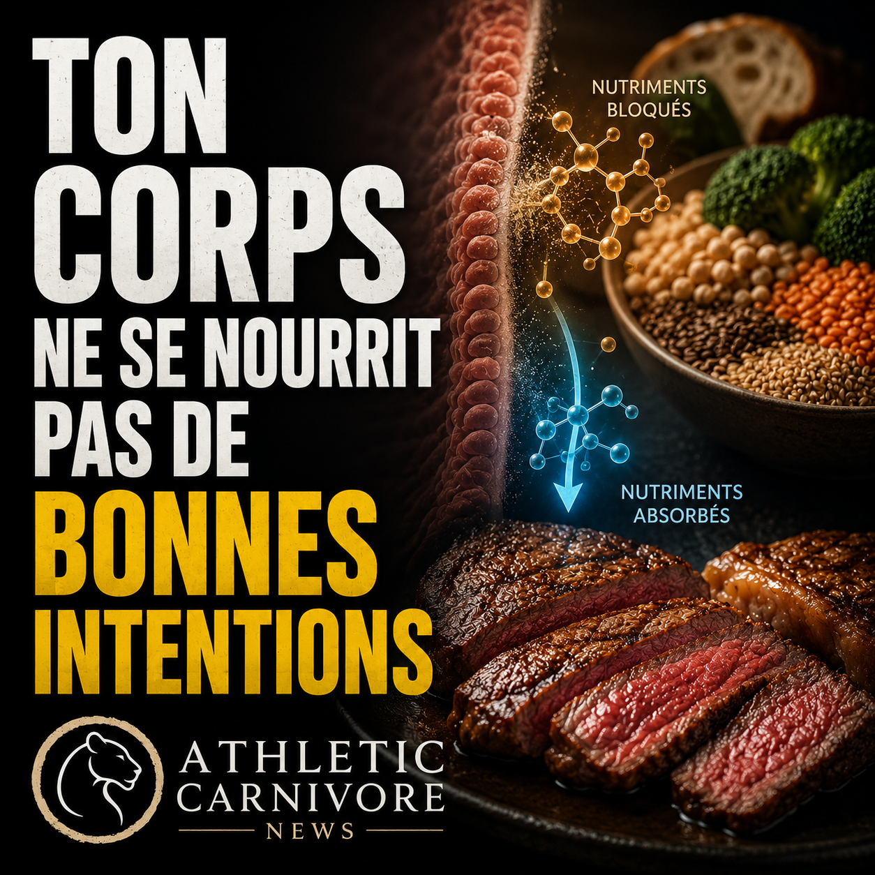 Pourquoi ton corps ne se nourrit pas de bonnes intentions