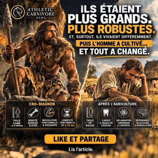 Cro-Magnon et agriculture : quand l’abondance calorique a fragilisé le corps humain