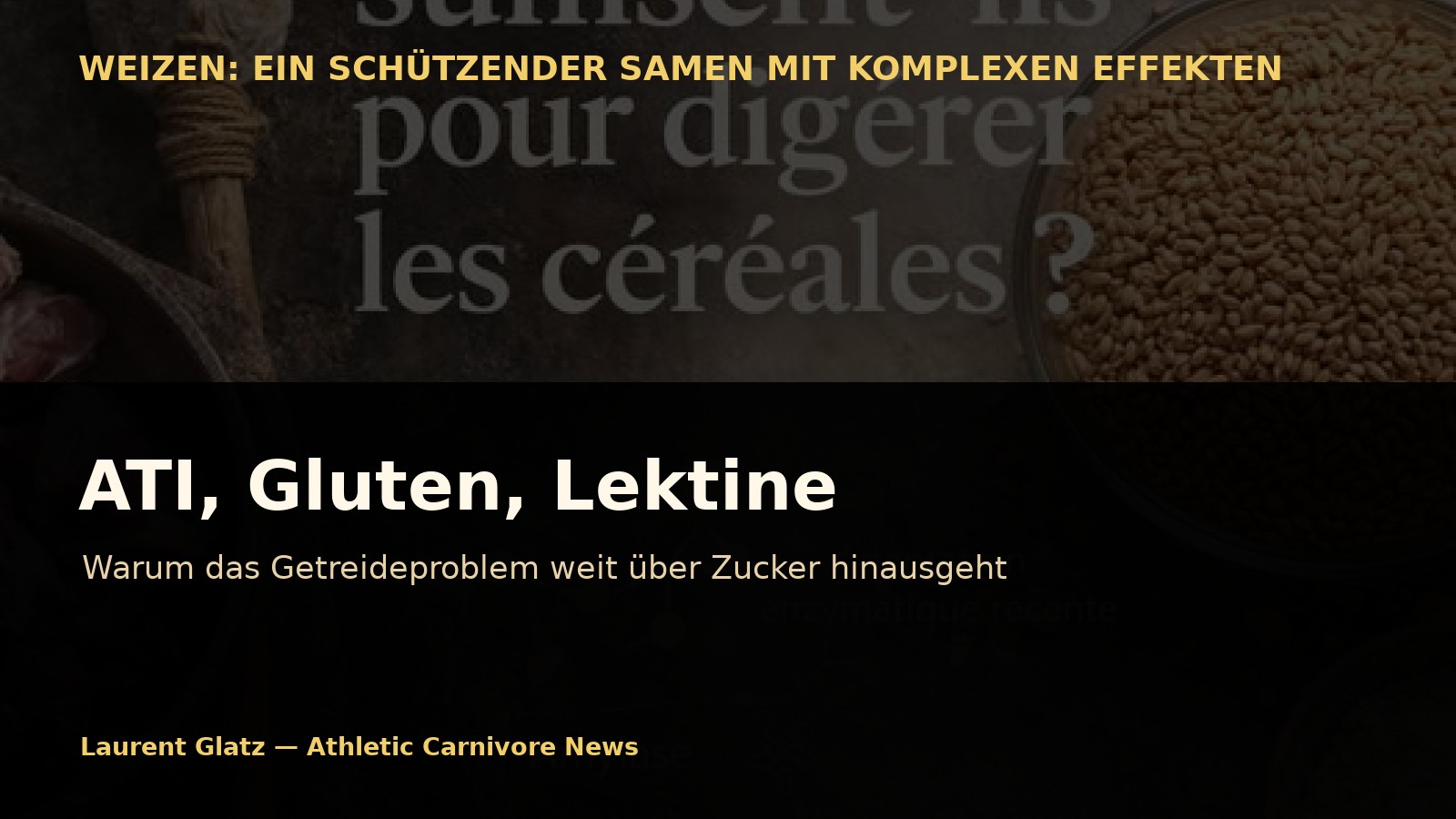ATI, Gluten, Lektine: Warum das Getreideproblem weit über Zucker hinausgeht