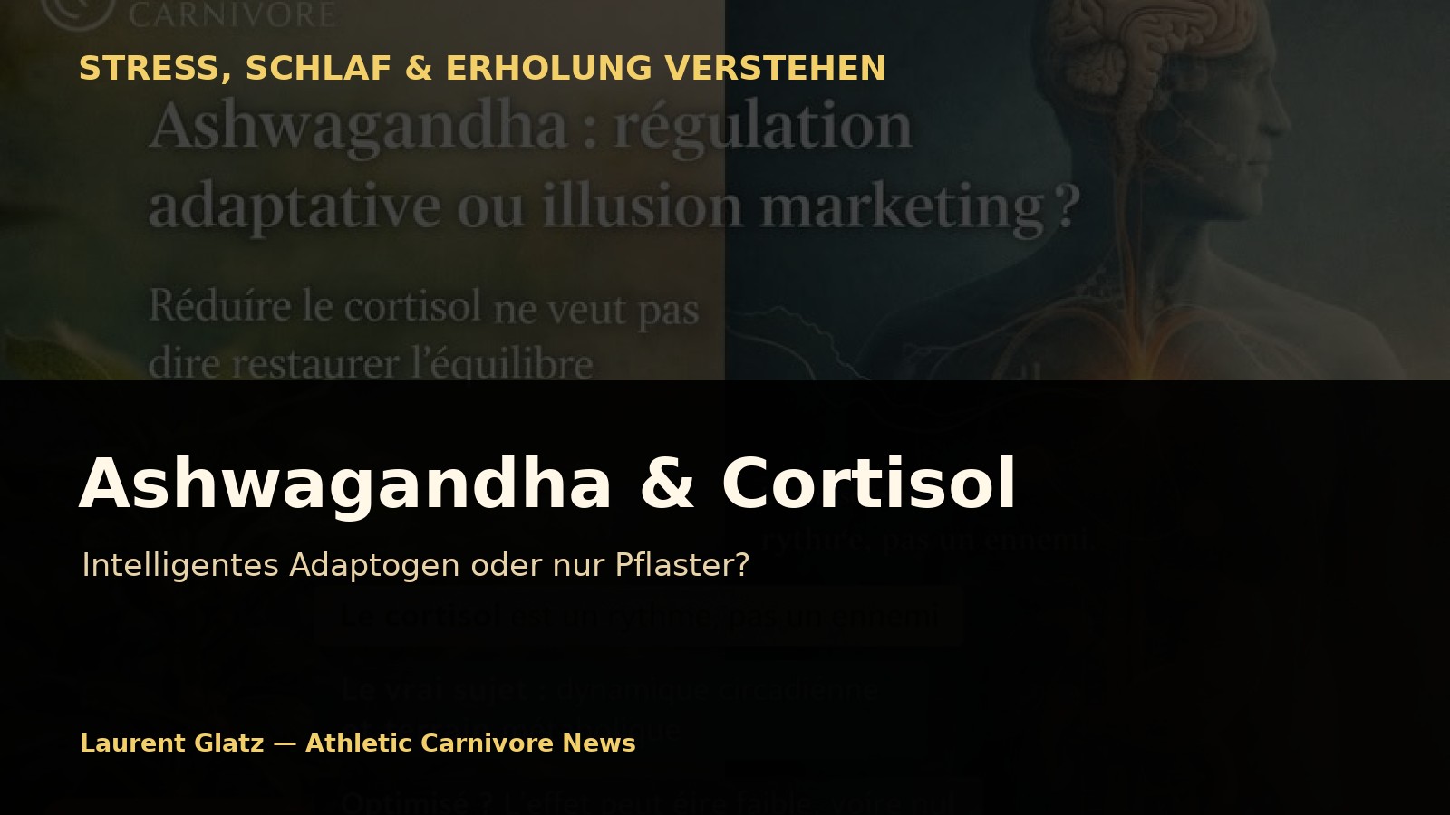 Ashwagandha: Intelligentes Adaptogen oder Pflaster für falsch verstandenes Cortisol?