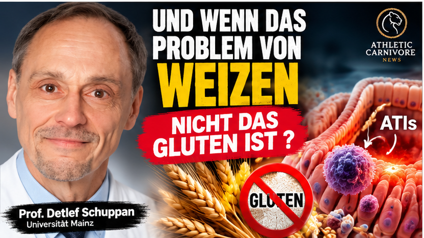 Weizen: Mehr als Gluten – Die Rolle der ATI-Proteine