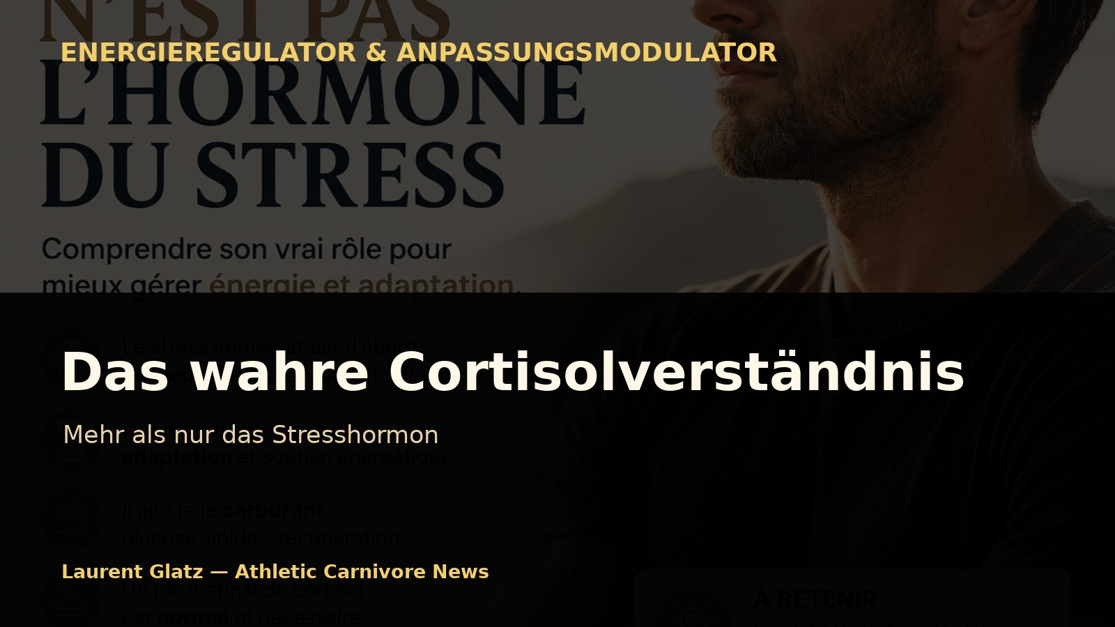 Das wahre Cortisolverständnis: Mehr als nur das Stresshormon