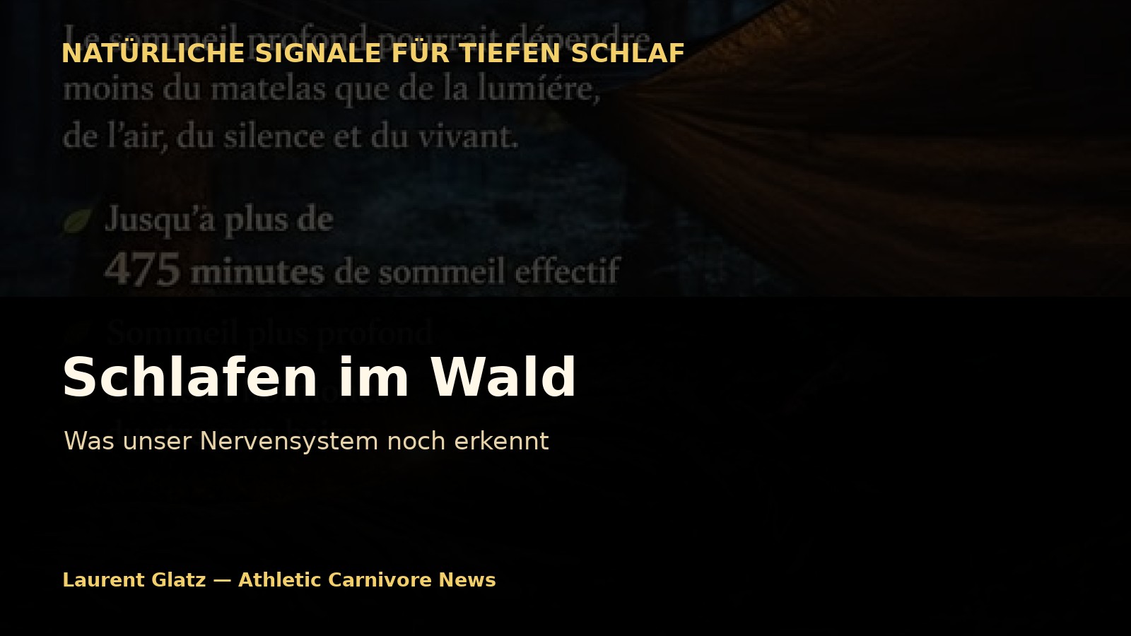 Schlafen im Wald: Was unser Nervensystem noch erkennt