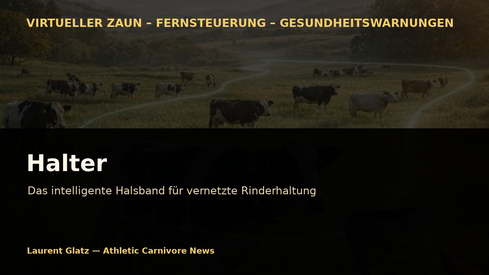 Halter: Das neuseeländische Halsband, das Rinder in ein kontinuierlich überwachtes biologisches System verwandelt