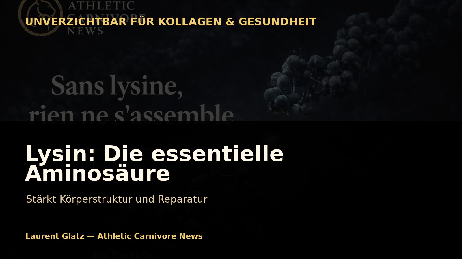 Lysin: Die Aminosäure, die den Körper langfristig stärkt
