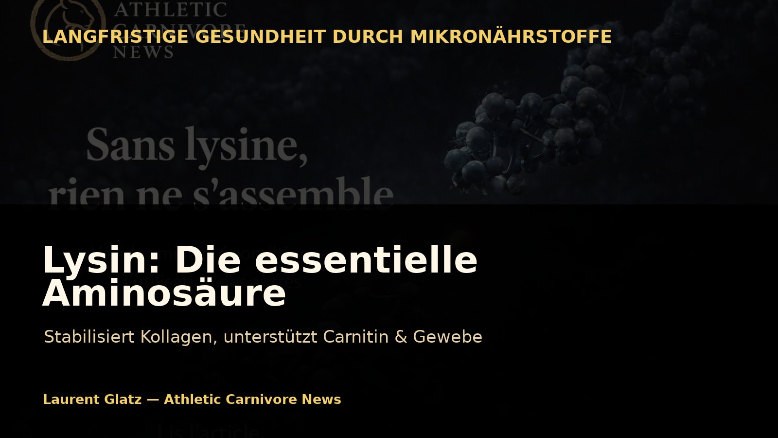 Lysin: Die Aminosäure, die den Körper langfristig stärkt