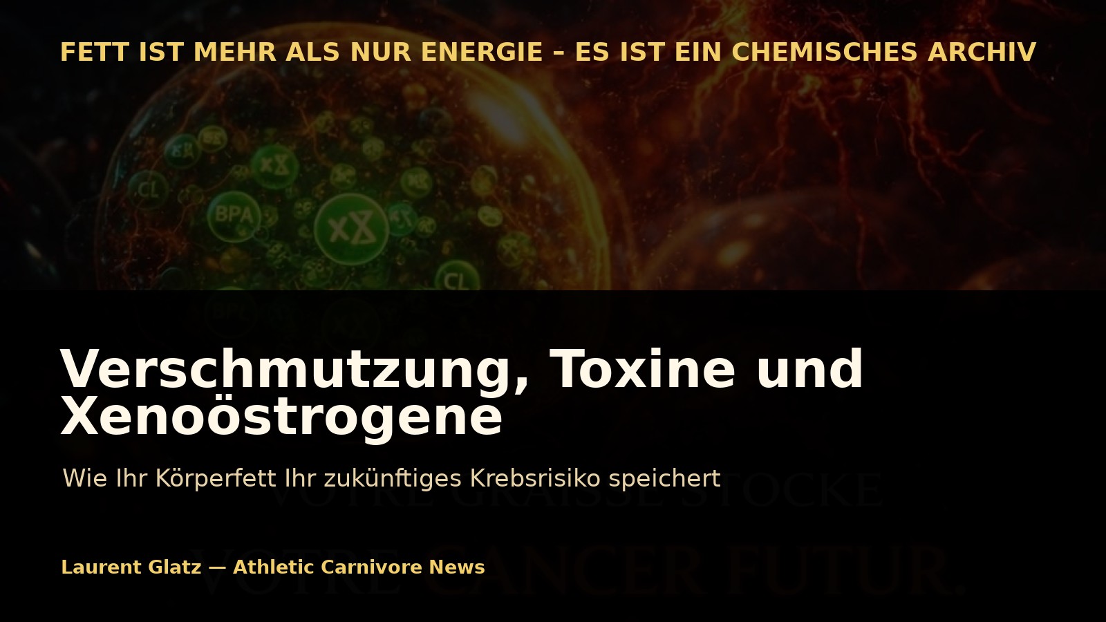 Verschmutzung, Toxine und Xenoöstrogene: Wie Ihr Fett Ihr zukünftiges Krebsrisiko speichert