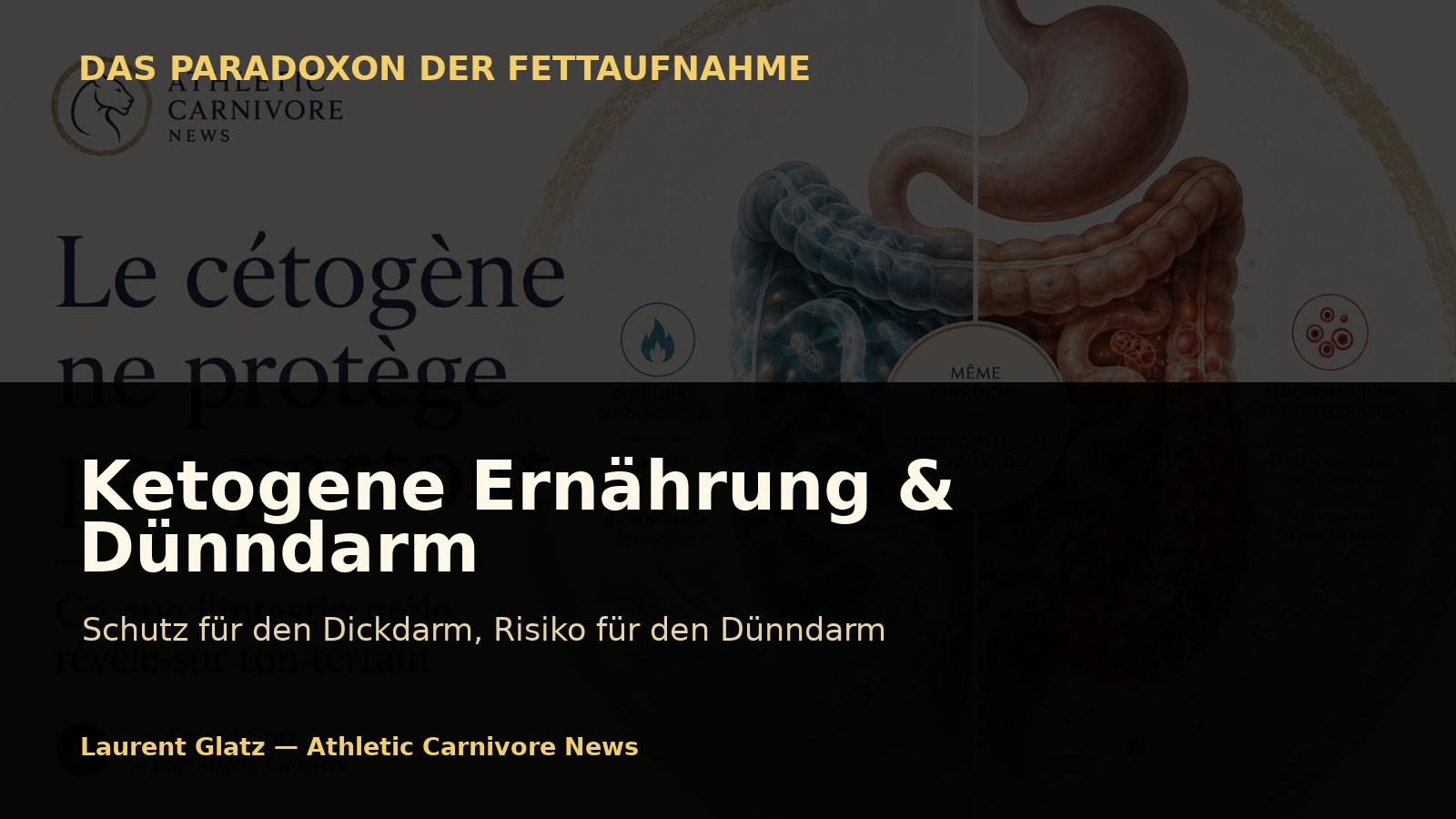Ketogene Ernährung und Dünndarm: Ein wichtiges Paradoxon verstehen