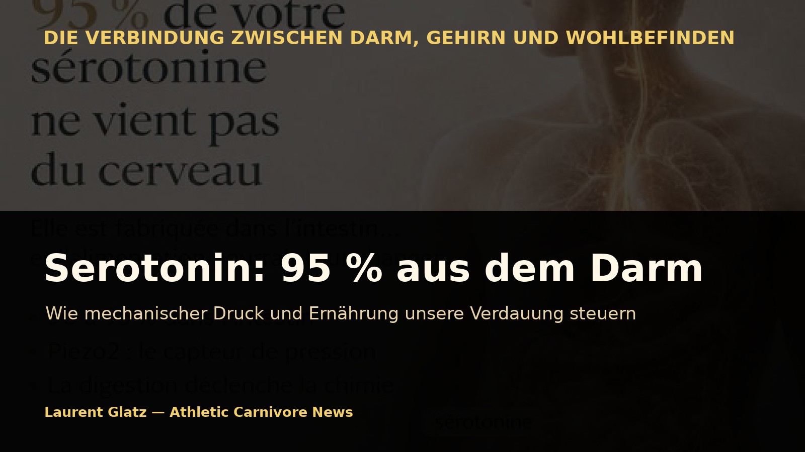 Serotonin: Warum Ihr Darm 95 % davon produziert – und wie Ernährung wirklich wirkt