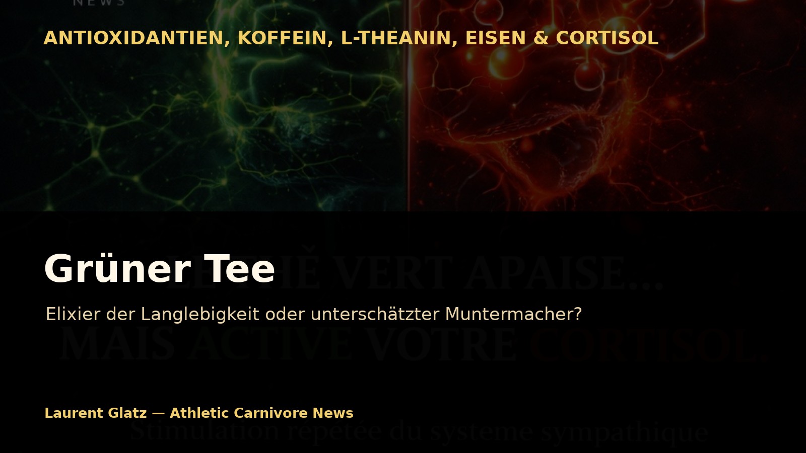 Grüner Tee: Elixier der Langlebigkeit oder unterschätzter Muntermacher?