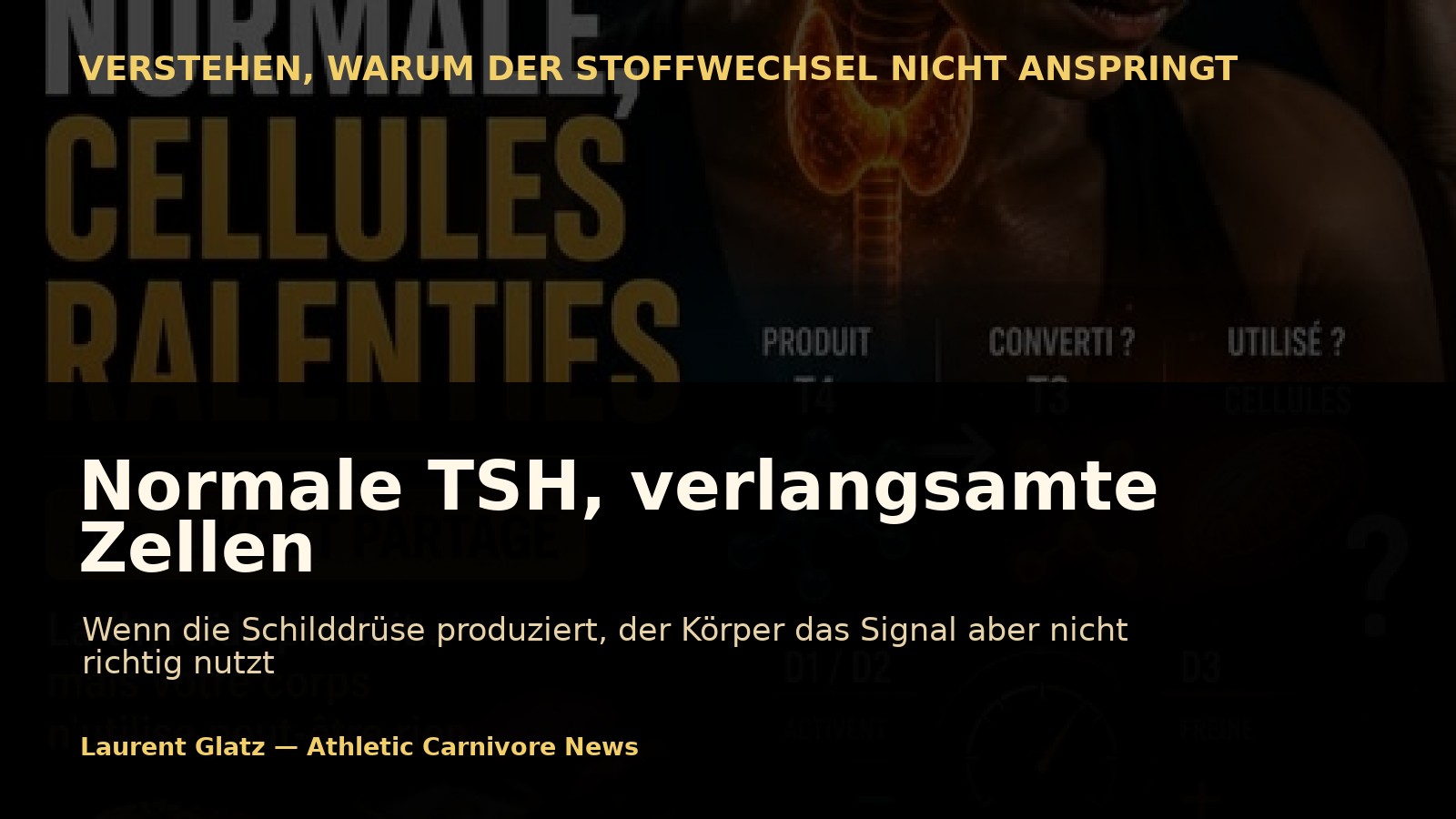 Normale TSH, verlangsamte Zellen