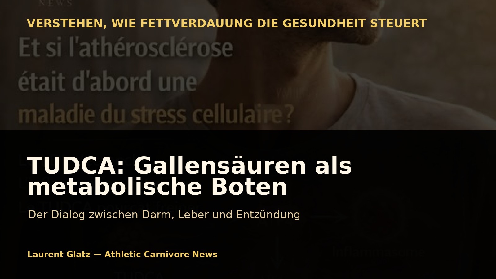 TUDCA: Wenn Gallensäuren zu metabolischen Boten werden