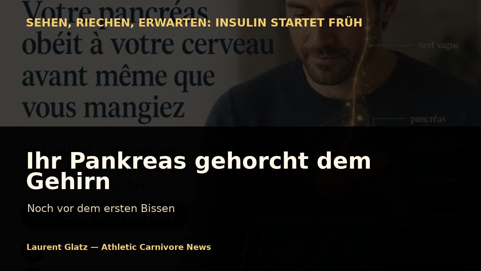 Ihr Pankreas gehorcht Ihrem Gehirn, noch bevor Sie essen