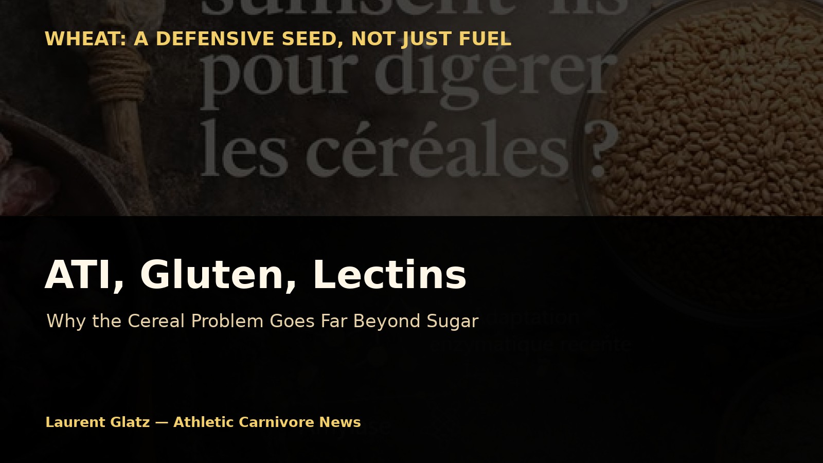 ATI, Gluten, Lectins: Why the Cereal Problem Goes Far Beyond Sugar
