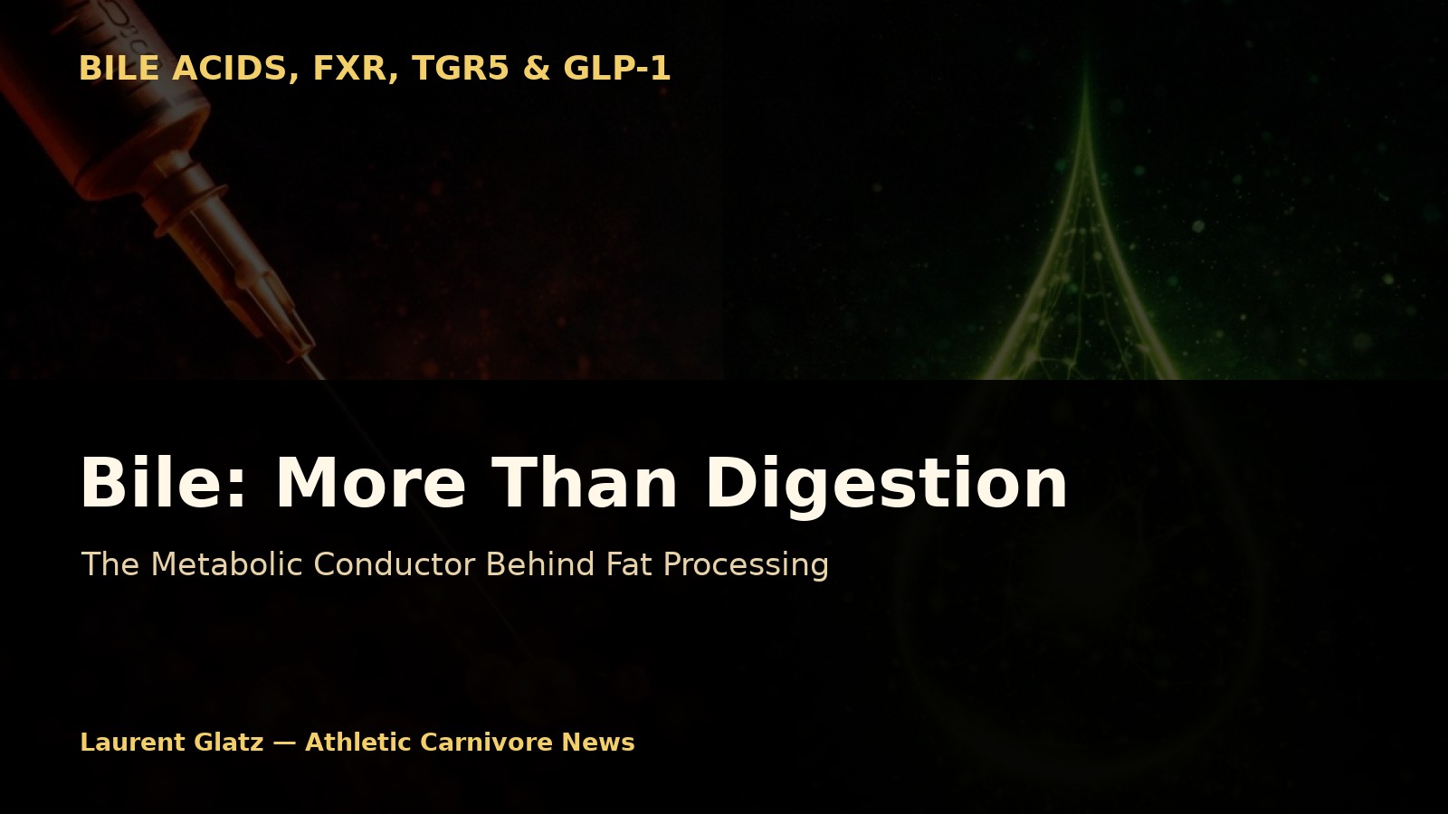 Bile: Simple Digestive Fluid or Overlooked Metabolic Conductor?