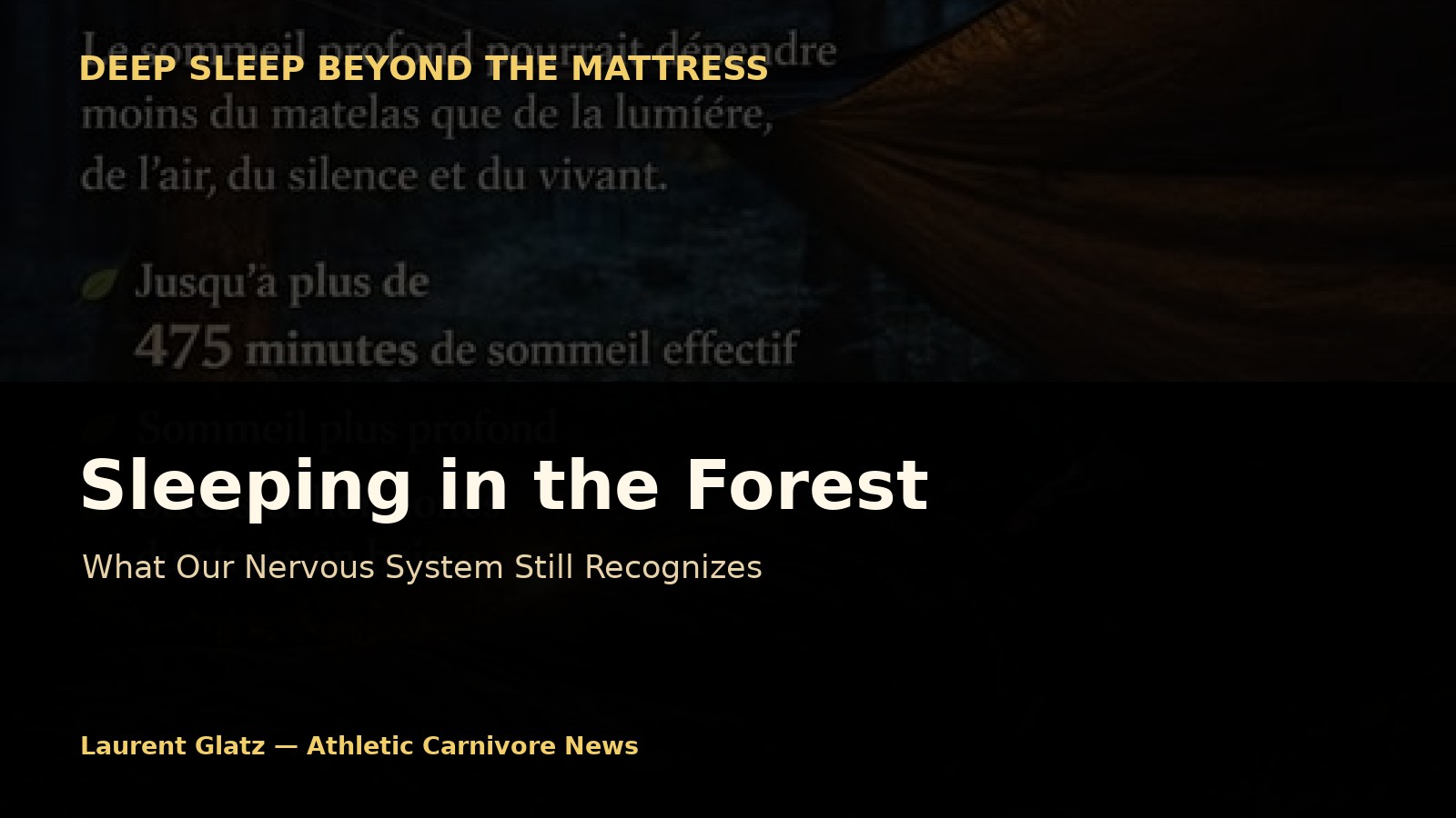 Sleeping in the Forest: What Our Nervous System Still Recognizes