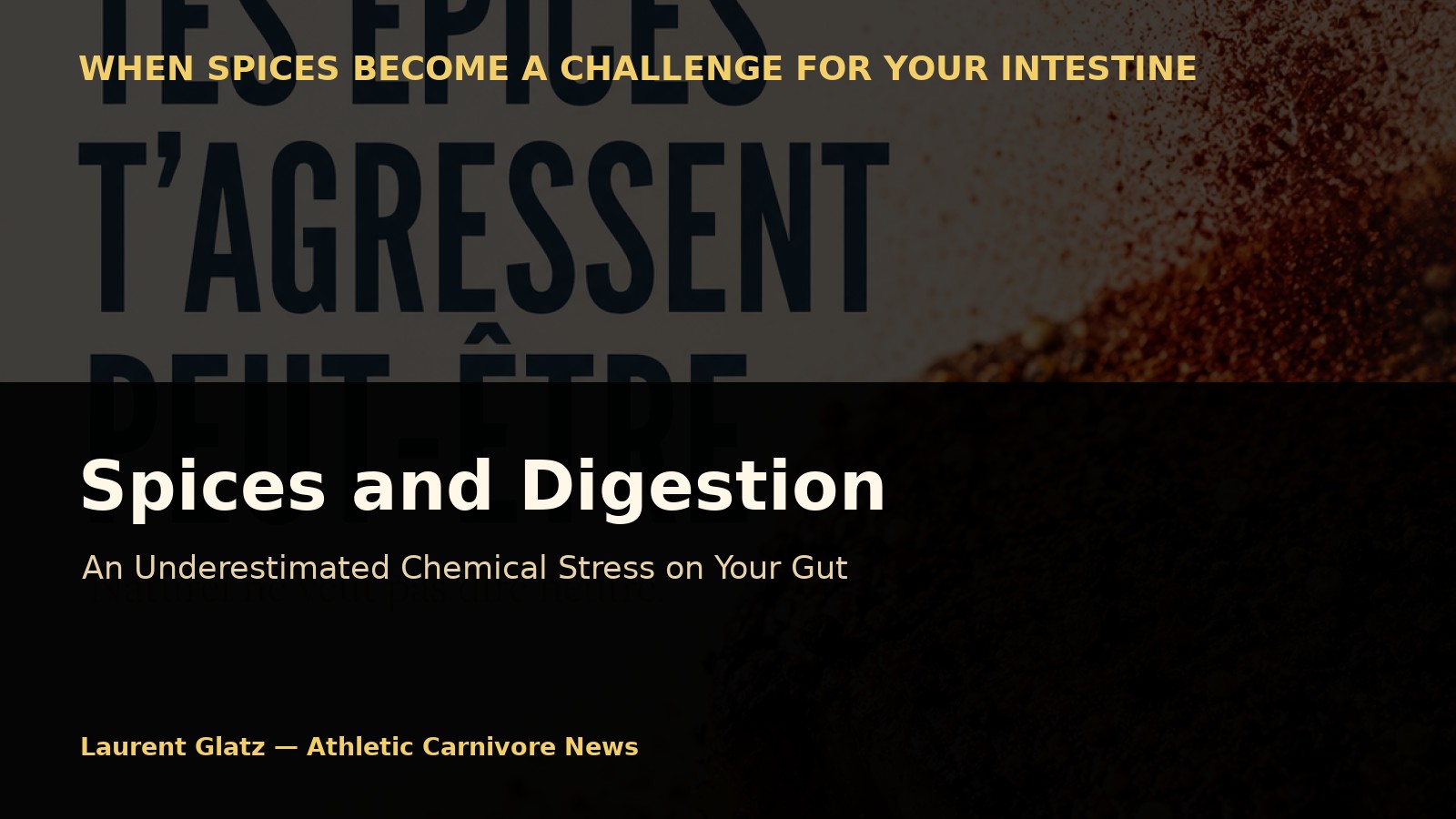Spices and Digestion: An Underestimated Daily Chemical Stress