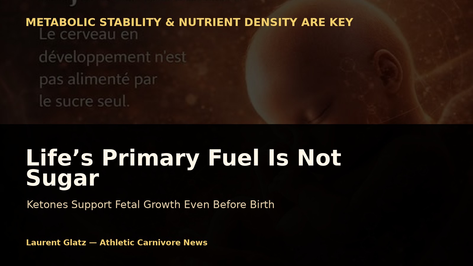 Life’s Primary Fuel Is Not Sugar