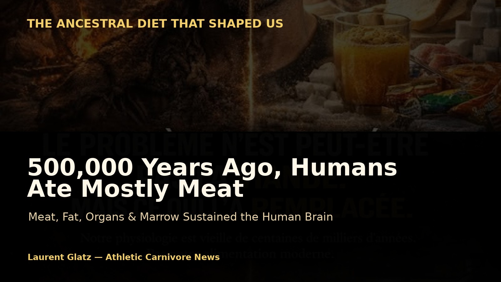 500,000 Years Ago, Humans Ate Mostly Meat