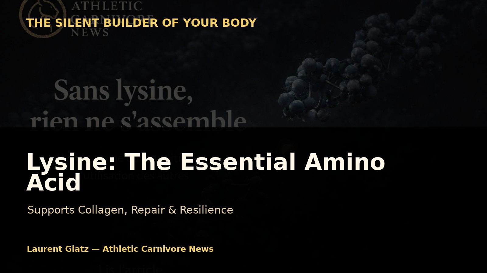 Lysine: The Amino Acid That Supports Your Body Over Time