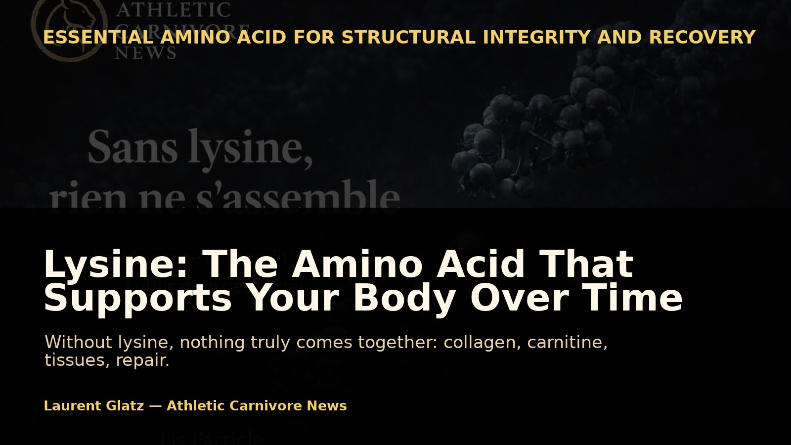 Lysine: The Amino Acid That Supports Your Body Over Time