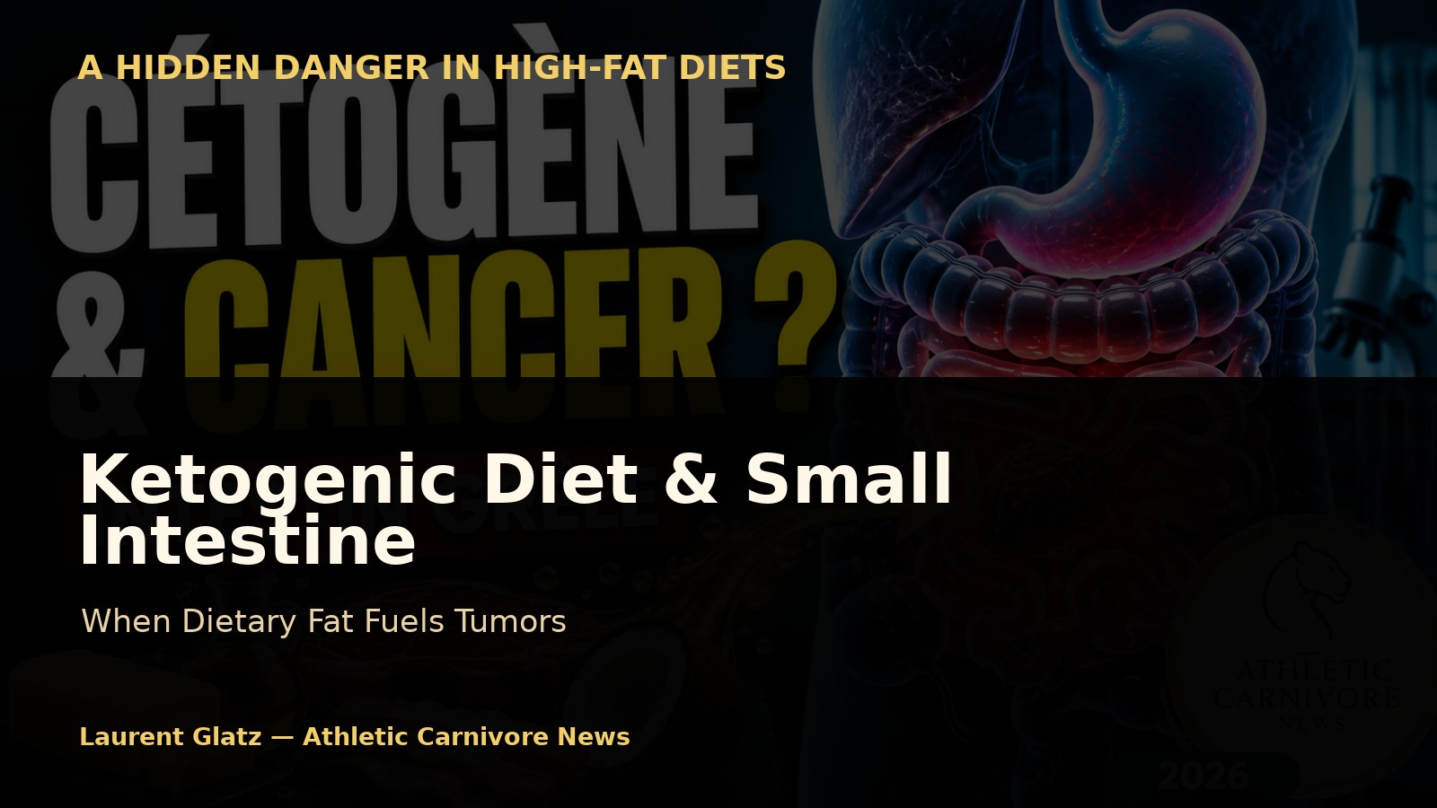 The Ketogenic Diet and the Small Intestine: An Overlooked Danger