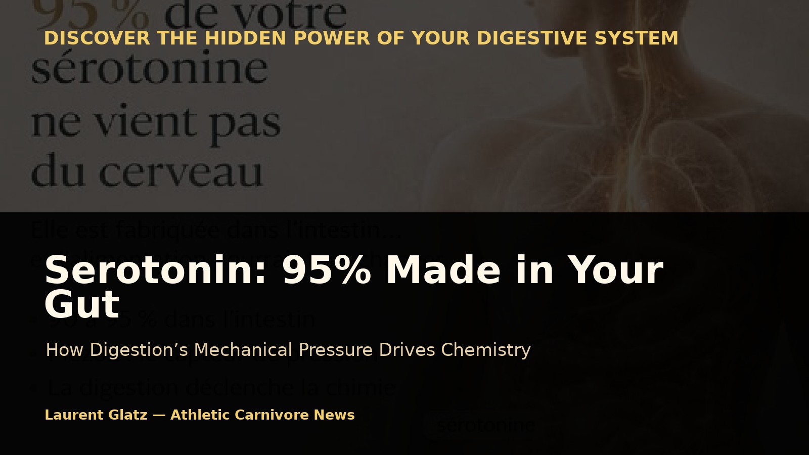 Serotonin: Why Your Gut Produces 95% — And What Diet Really Changes