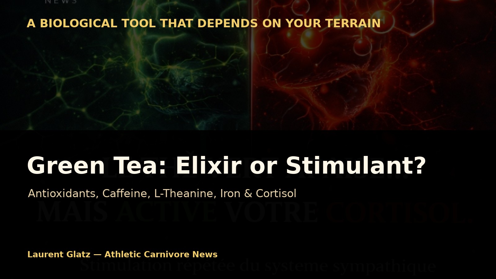 Green Tea: Longevity Elixir or Underestimated Stimulant?