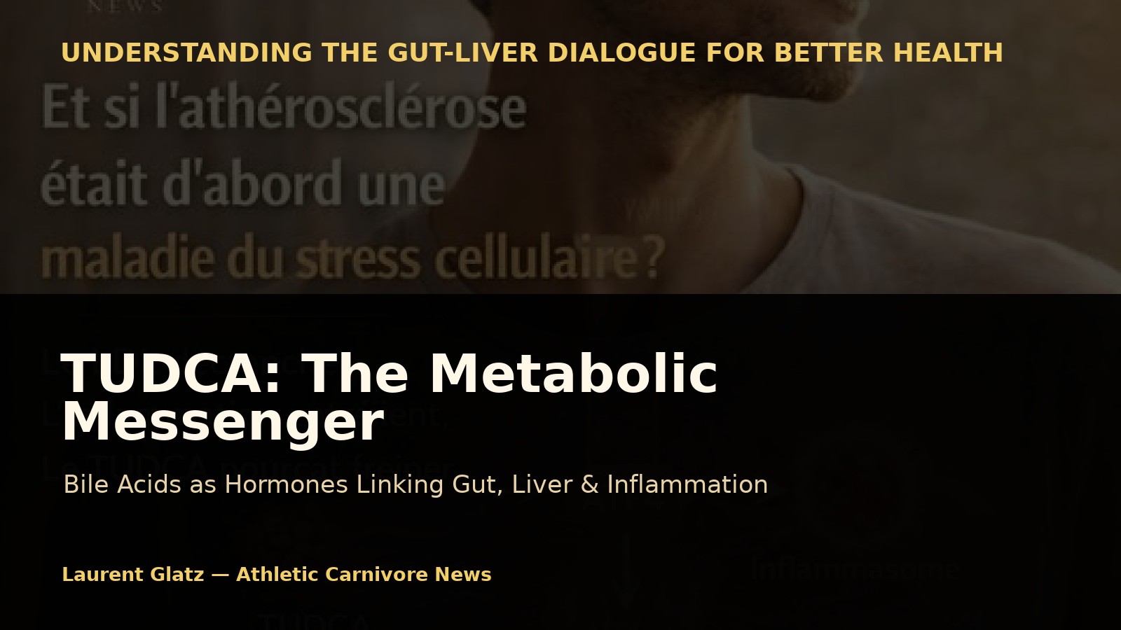 TUDCA: When Bile Acids Become Metabolic Messengers