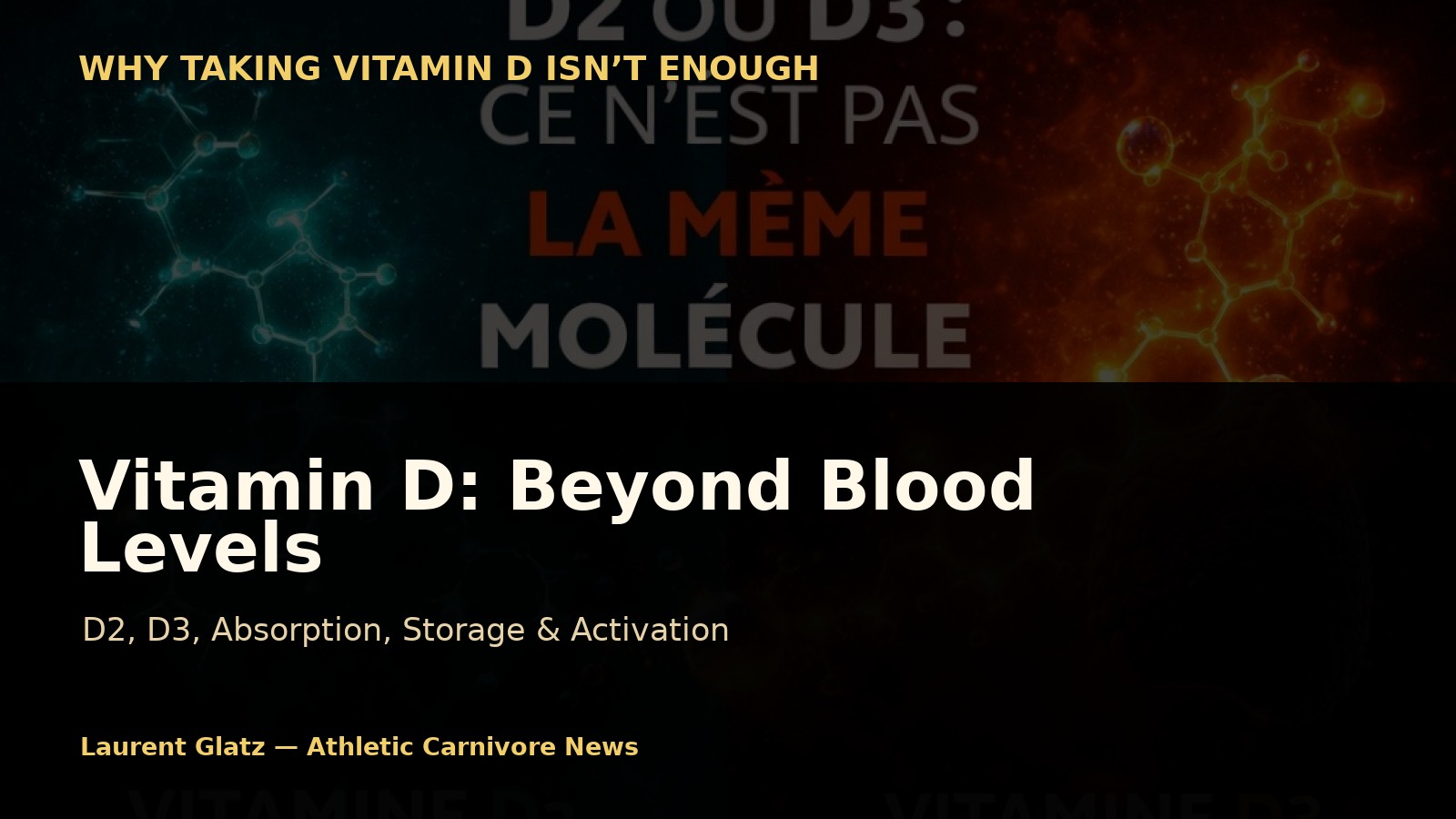 Vitamin D: D2, D3, Storage, Activation — What Blood Levels Don’t Reveal
