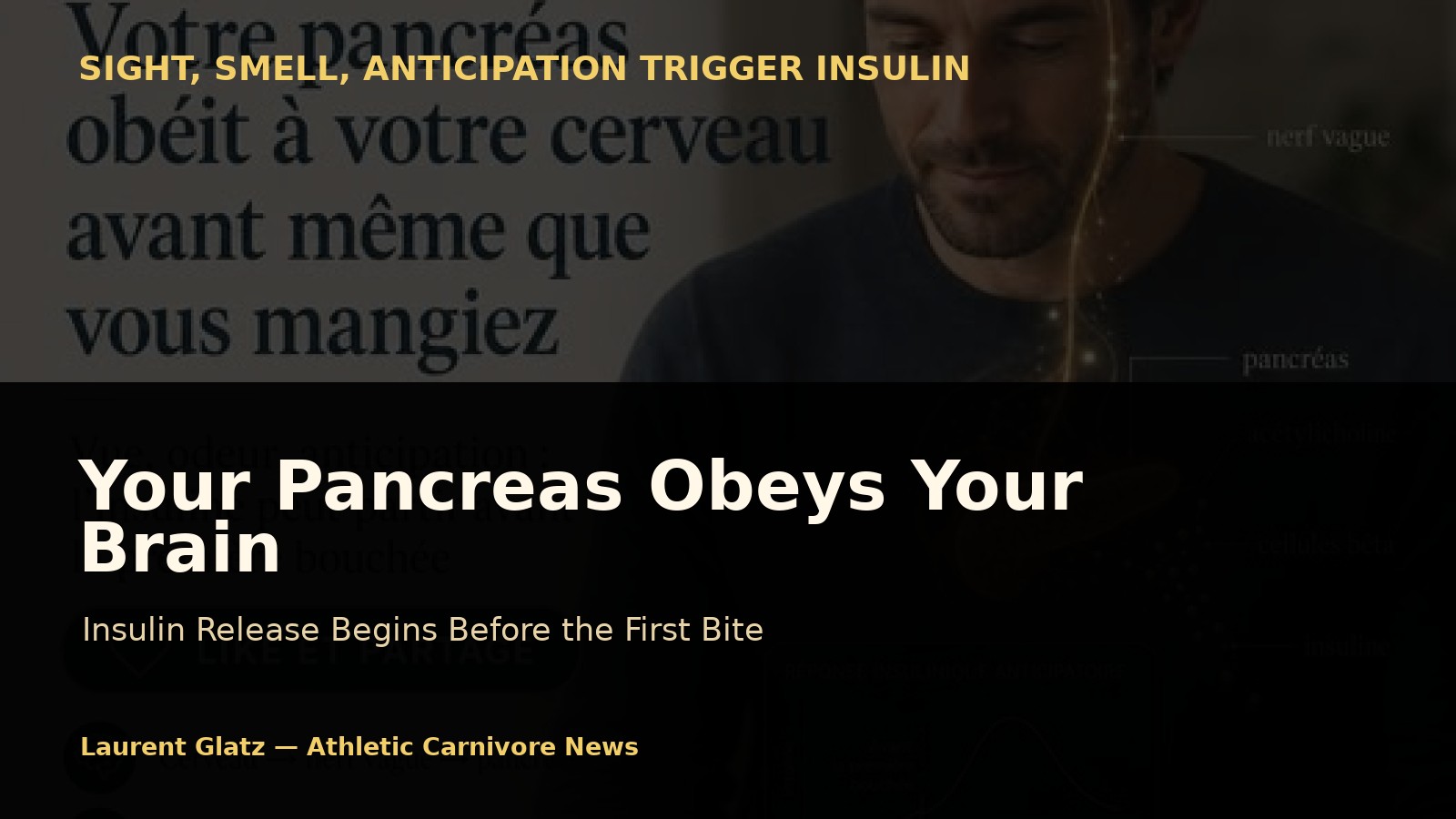 Your Pancreas Obeys Your Brain Even Before You Eat