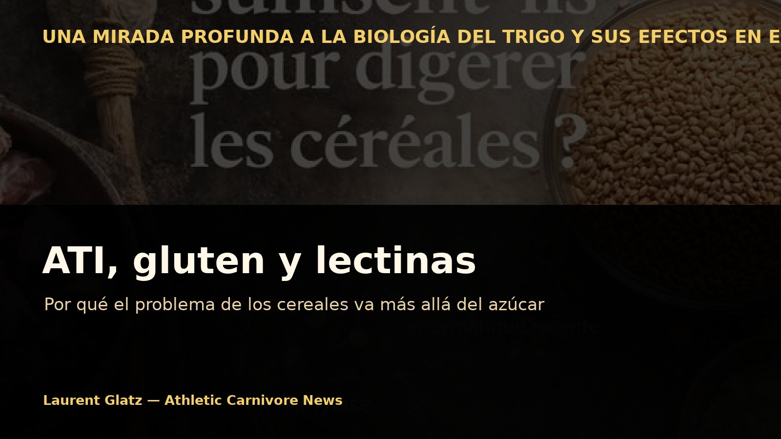 ATI, gluten, lectinas: por qué el problema de los cereales va más allá del azúcar