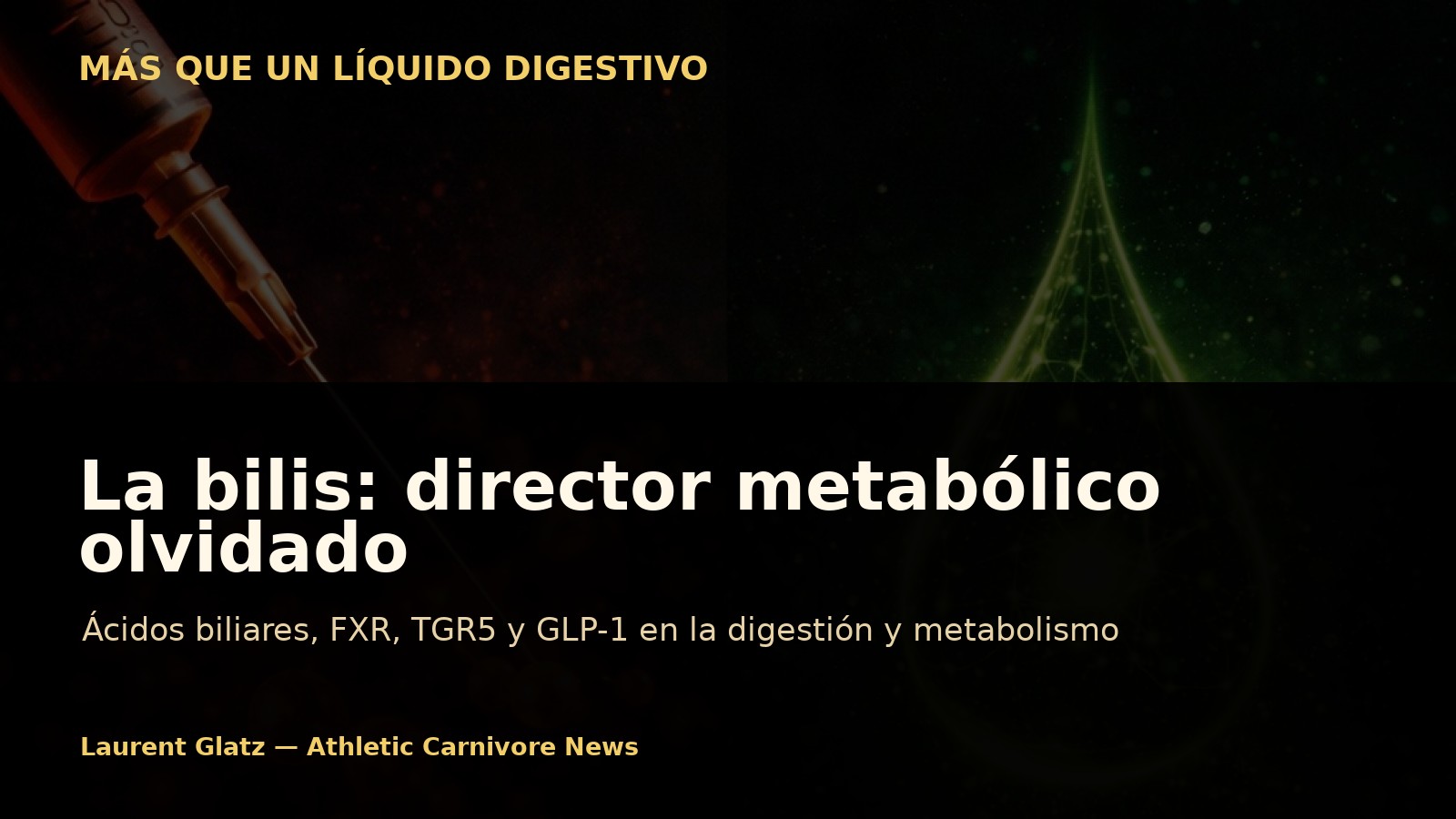 La bilis: ¿simple líquido digestivo o director metabólico olvidado?