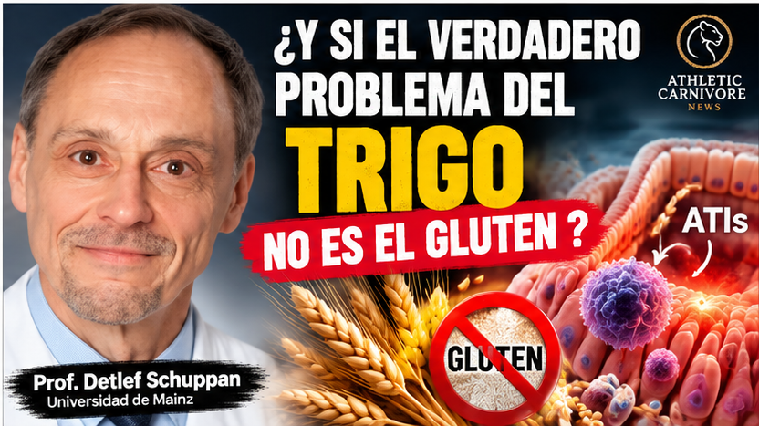 El trigo: más allá del gluten, el papel de las proteínas ATIs