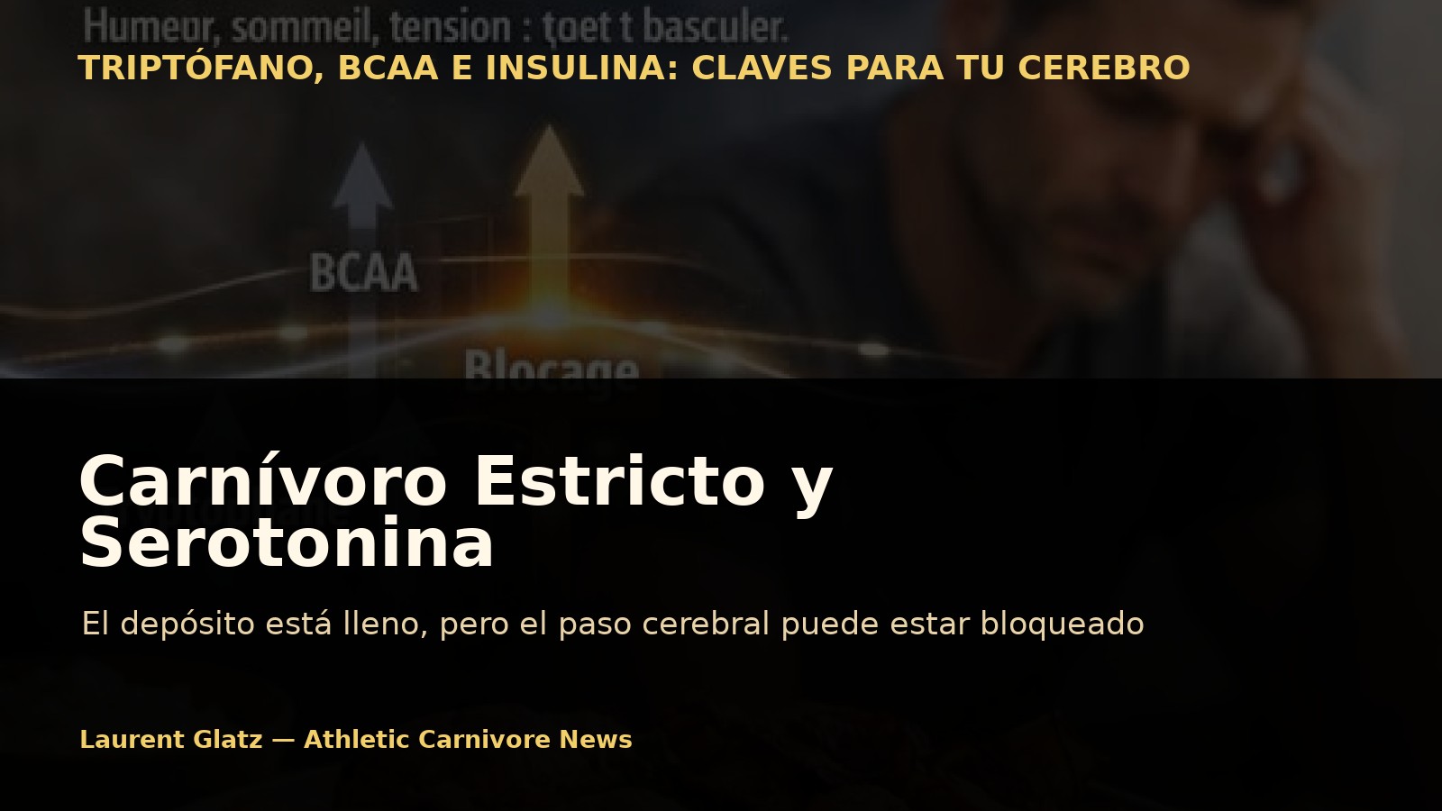 Carnívoro estricto y serotonina: el depósito está lleno, pero el paso cerebral puede estar bloqueado