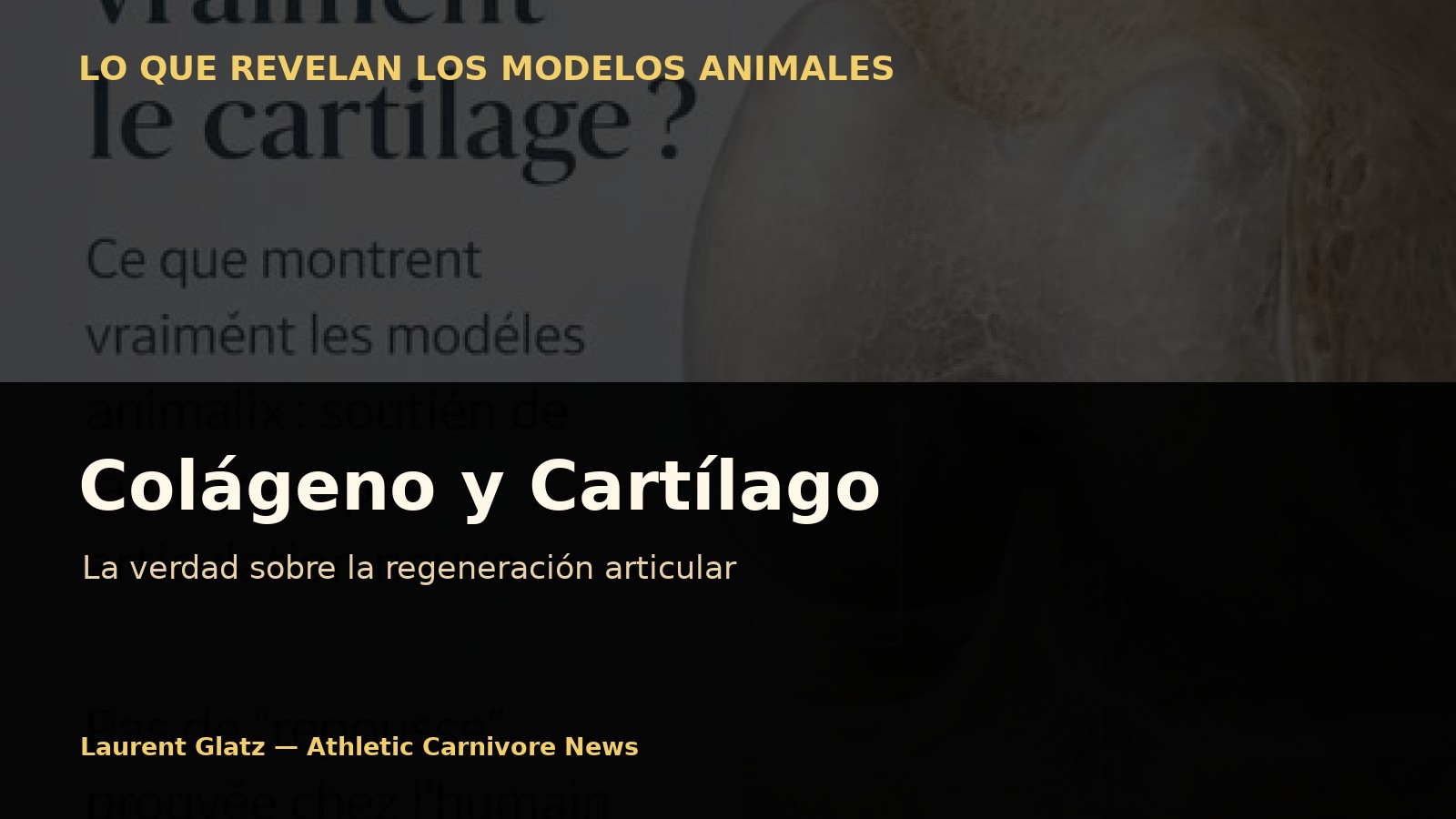 Cartílago, colágeno e ilusión de regeneración: lo que realmente muestran los modelos animales