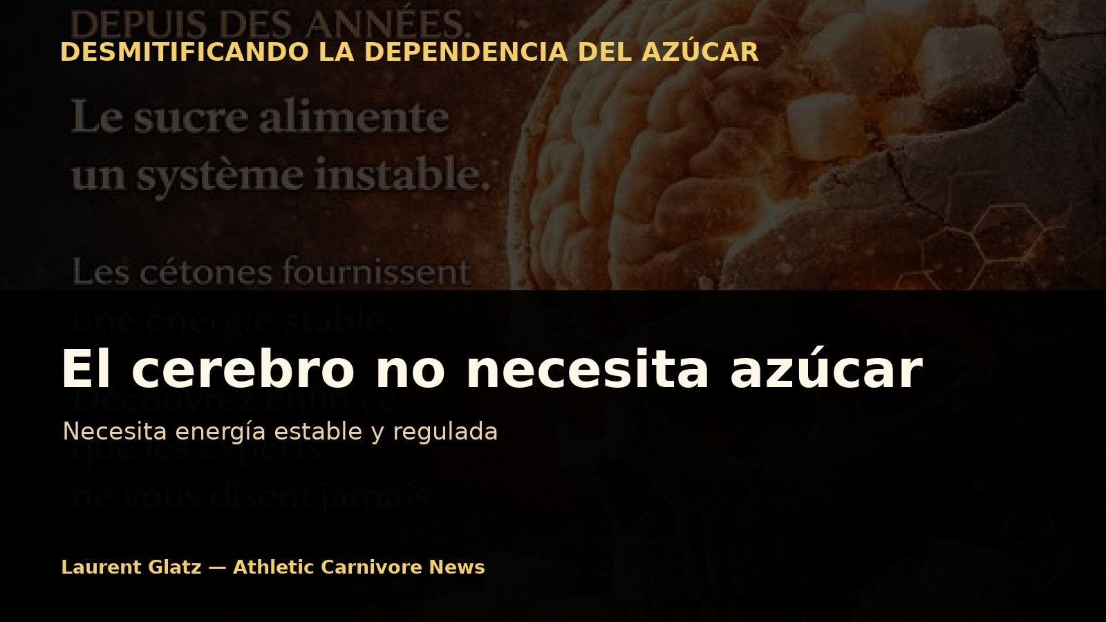 El cerebro no necesita azúcar: necesita energía estable