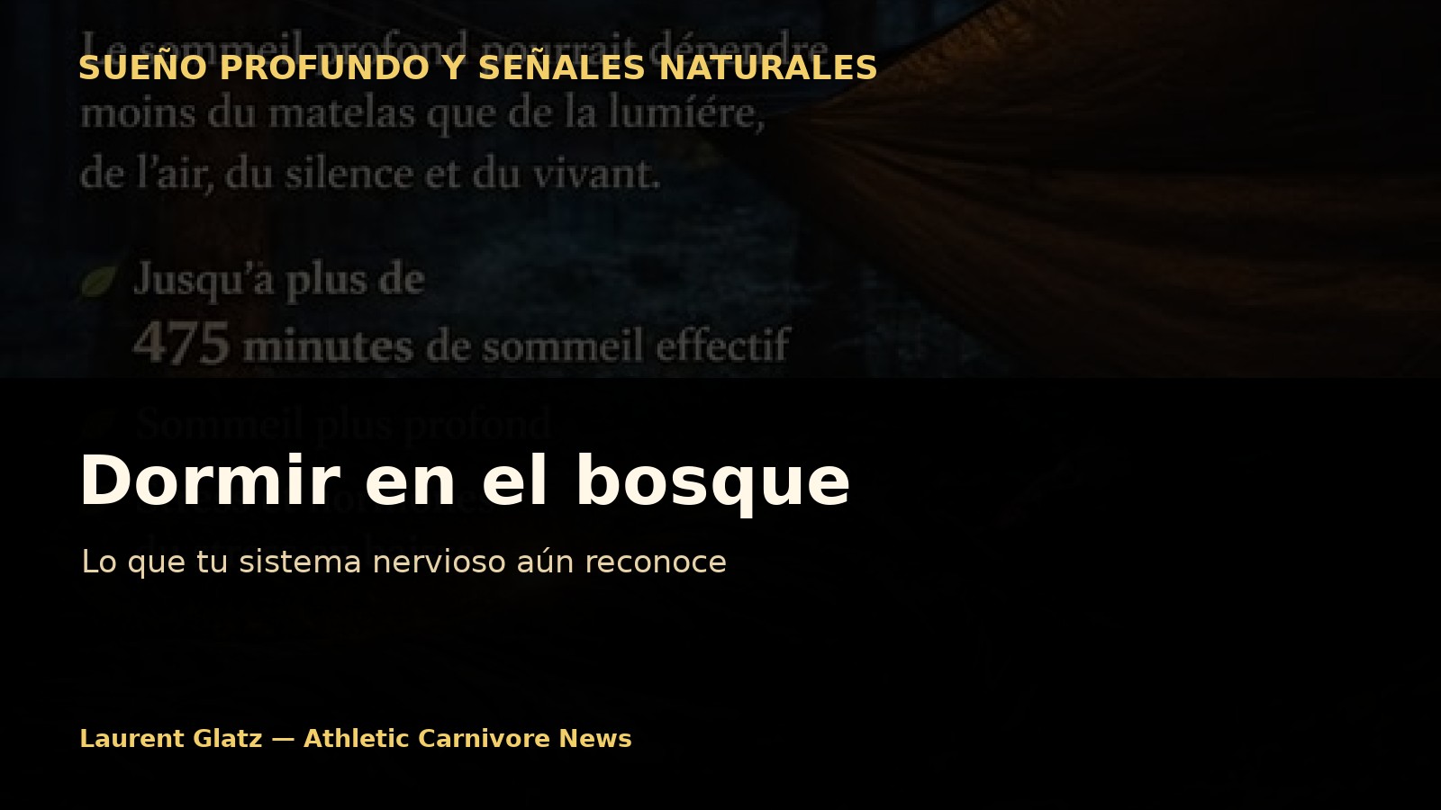 Dormir en el bosque: lo que nuestro sistema nervioso aún reconoce
