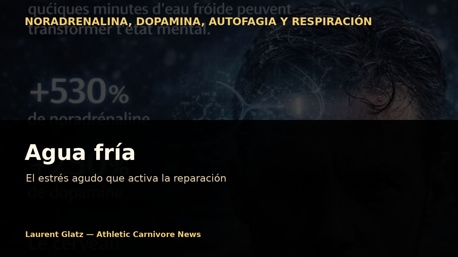 Agua fría: el estrés agudo que activa los mecanismos de reparación