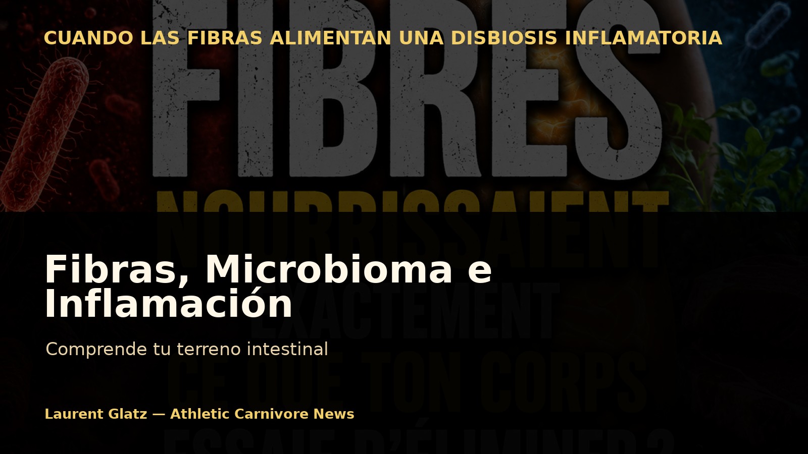 Fibras, microbioma e inflamación: comprende tu terreno intestinal