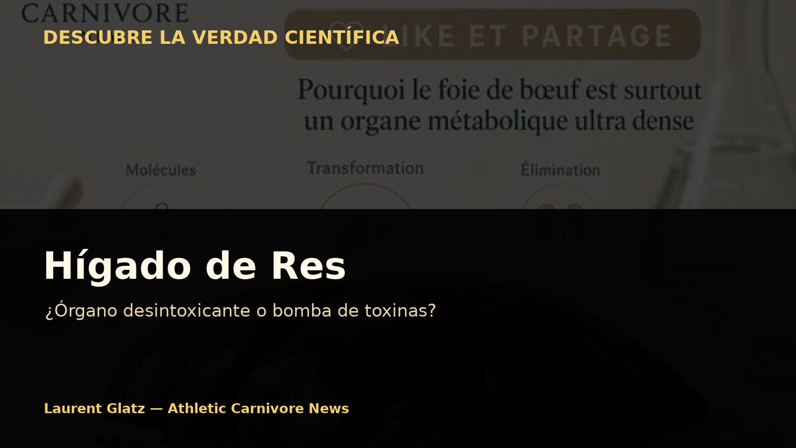 Hígado de res: ¿órgano desintoxicante o bomba de toxinas?