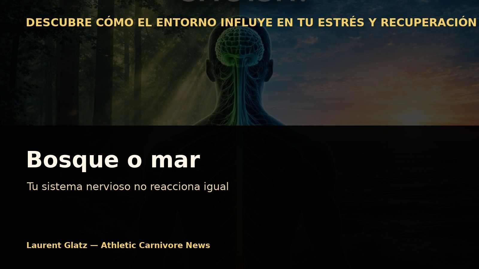 Bosque o mar: tu sistema nervioso no reacciona igual