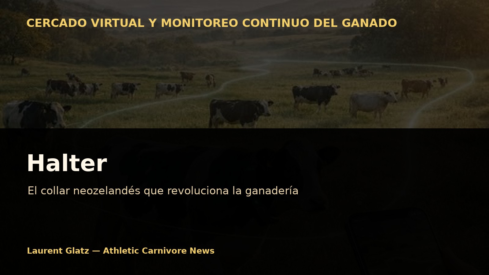 Halter: el collar neozelandés que convierte el ganado en un sistema biológico monitoreado continuamente
