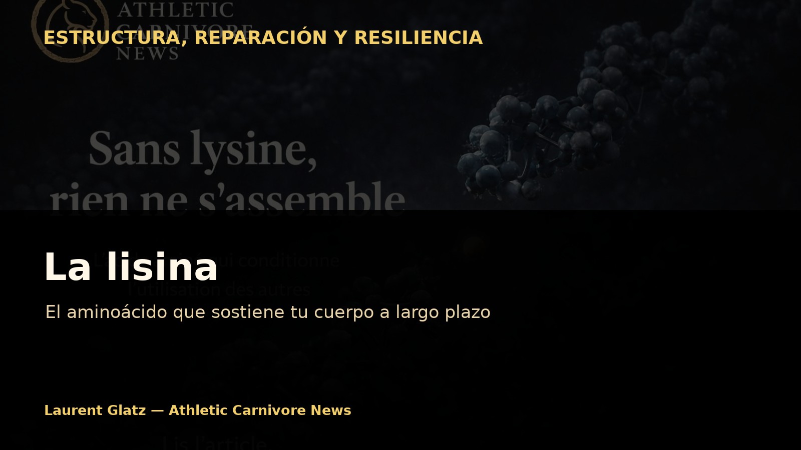 La lisina: el aminoácido que sostiene el cuerpo a largo plazo